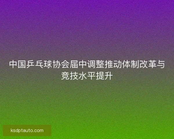 中国乒乓球协会届中调整推动体制改革与竞技水平提升 中国乒乓球协会届中调整推动体制改革与竞技水平提升